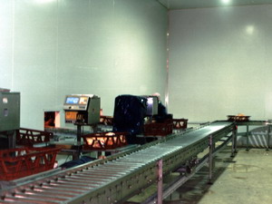 Poultry Industry Conveyors